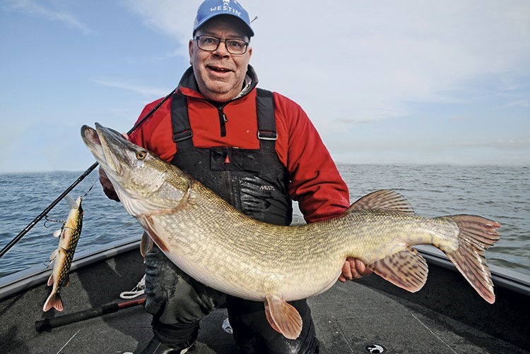 Continental pike fever | Westin Fishing