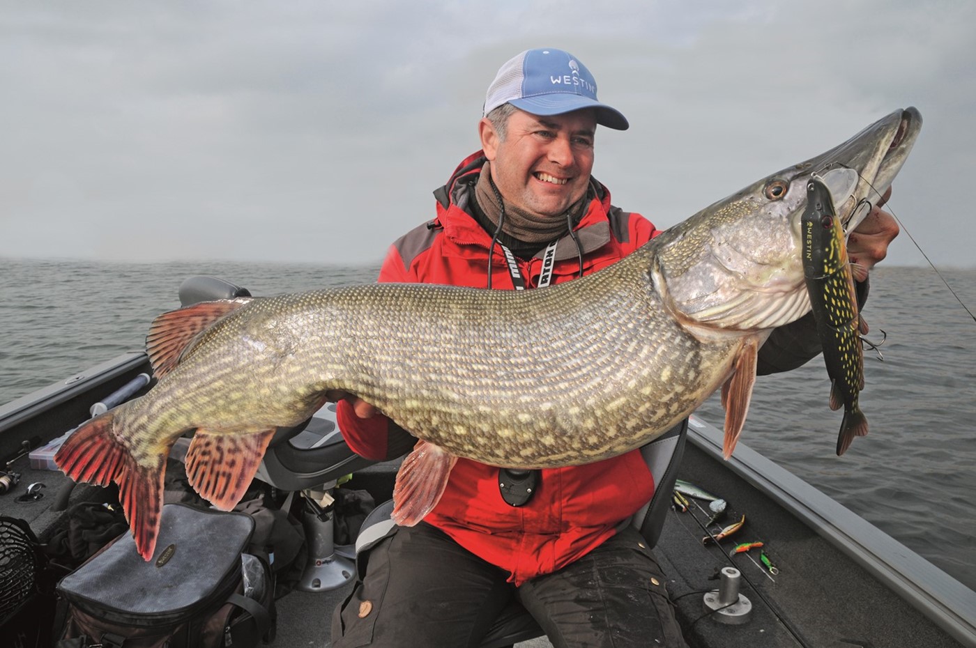 Continental pike fever | Westin Fishing