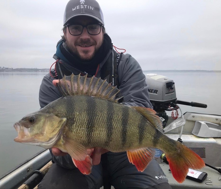 Catching Canal Perch With Light Lures